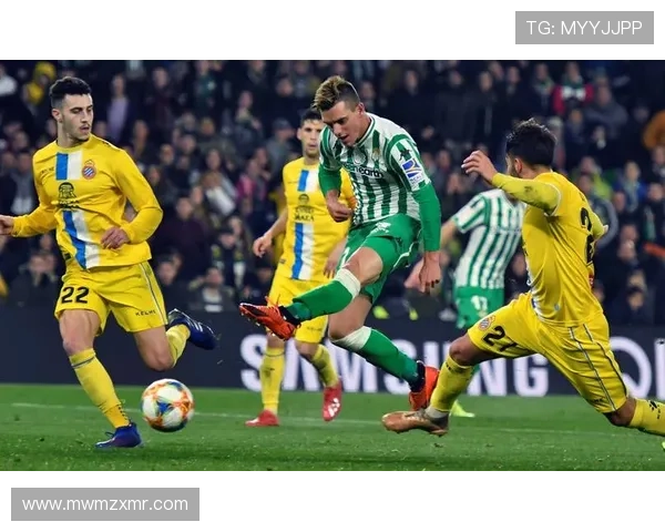 皇家贝蒂斯迎来新赛季挑战 聚焦球队夏季转会与战术调整