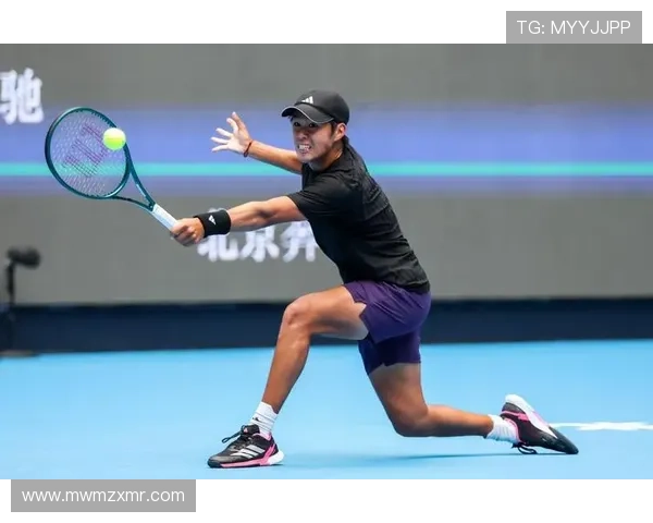 2025网球赛季回顾：明星球员表现亮眼 新星崭露头角