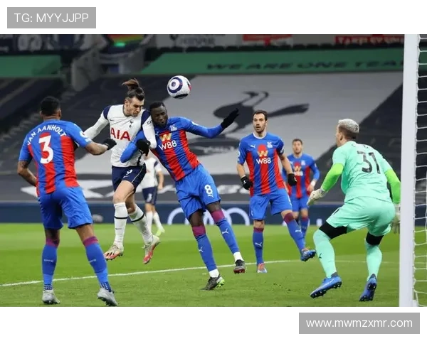 纽卡斯尔联俱乐部新赛季引援进展与英超争四前景分析最新动态解读